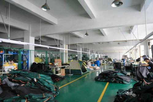 网络工程 连接世界的数字桥梁